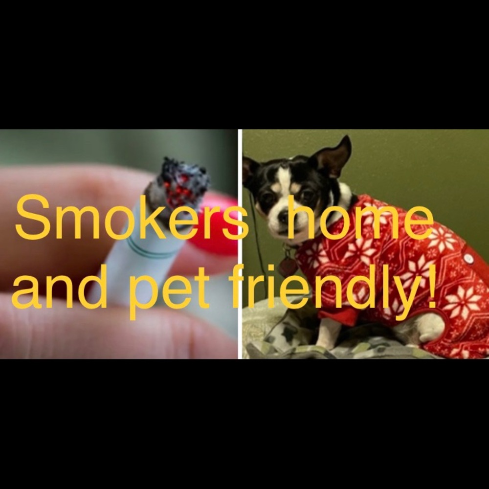 Yes- I smoke and I have one dog!
